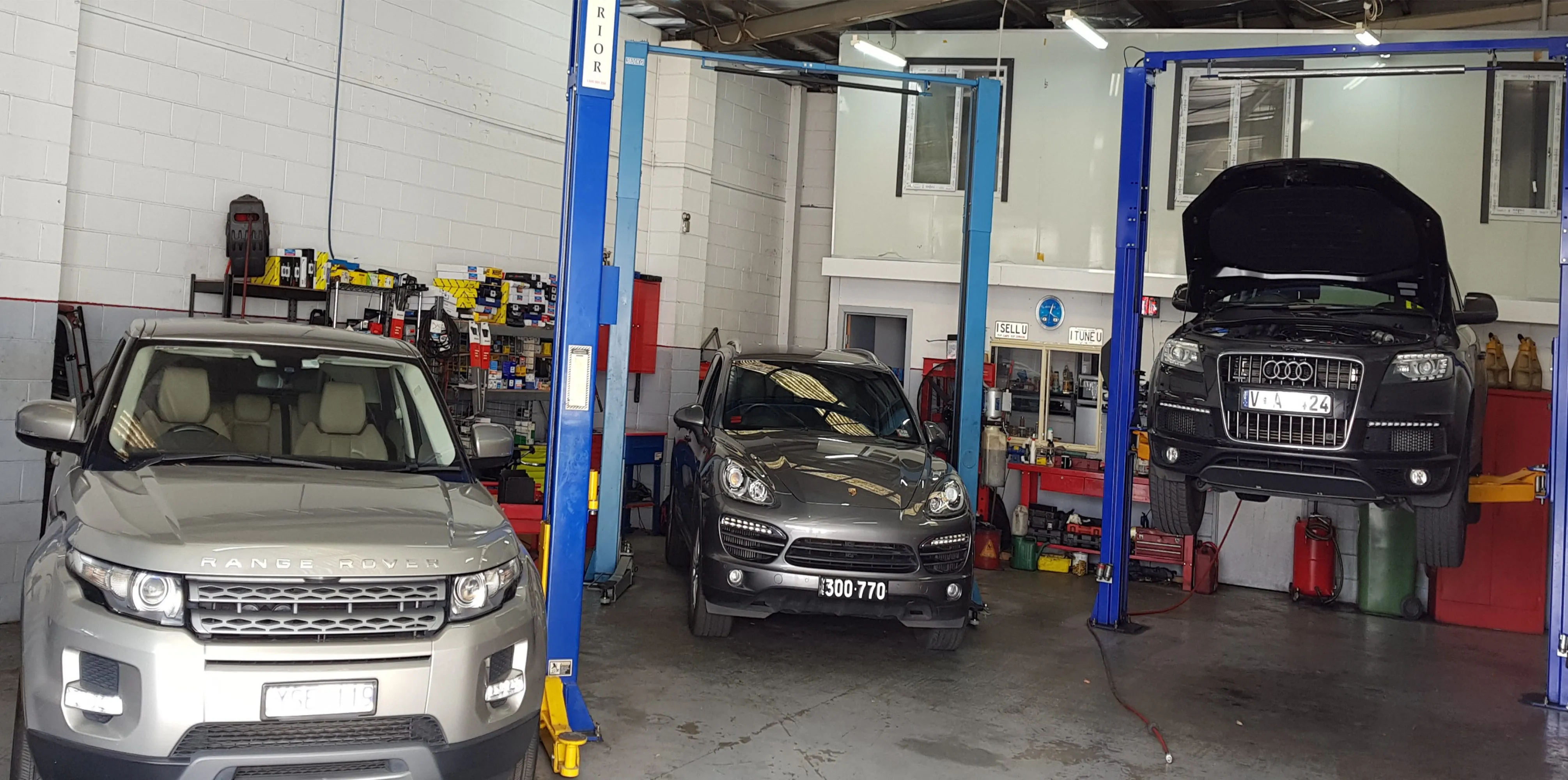 Master Auto Service workshop in Mitcham with vehicles on the hoists